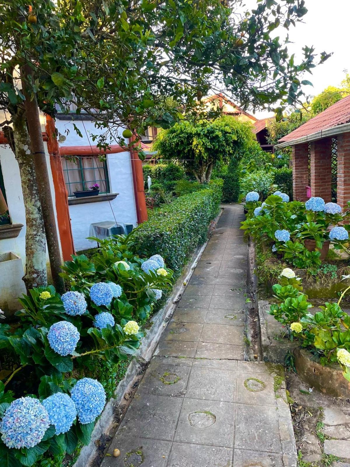 Casa Heidi, Apanecaヴィラ エクステリア 写真